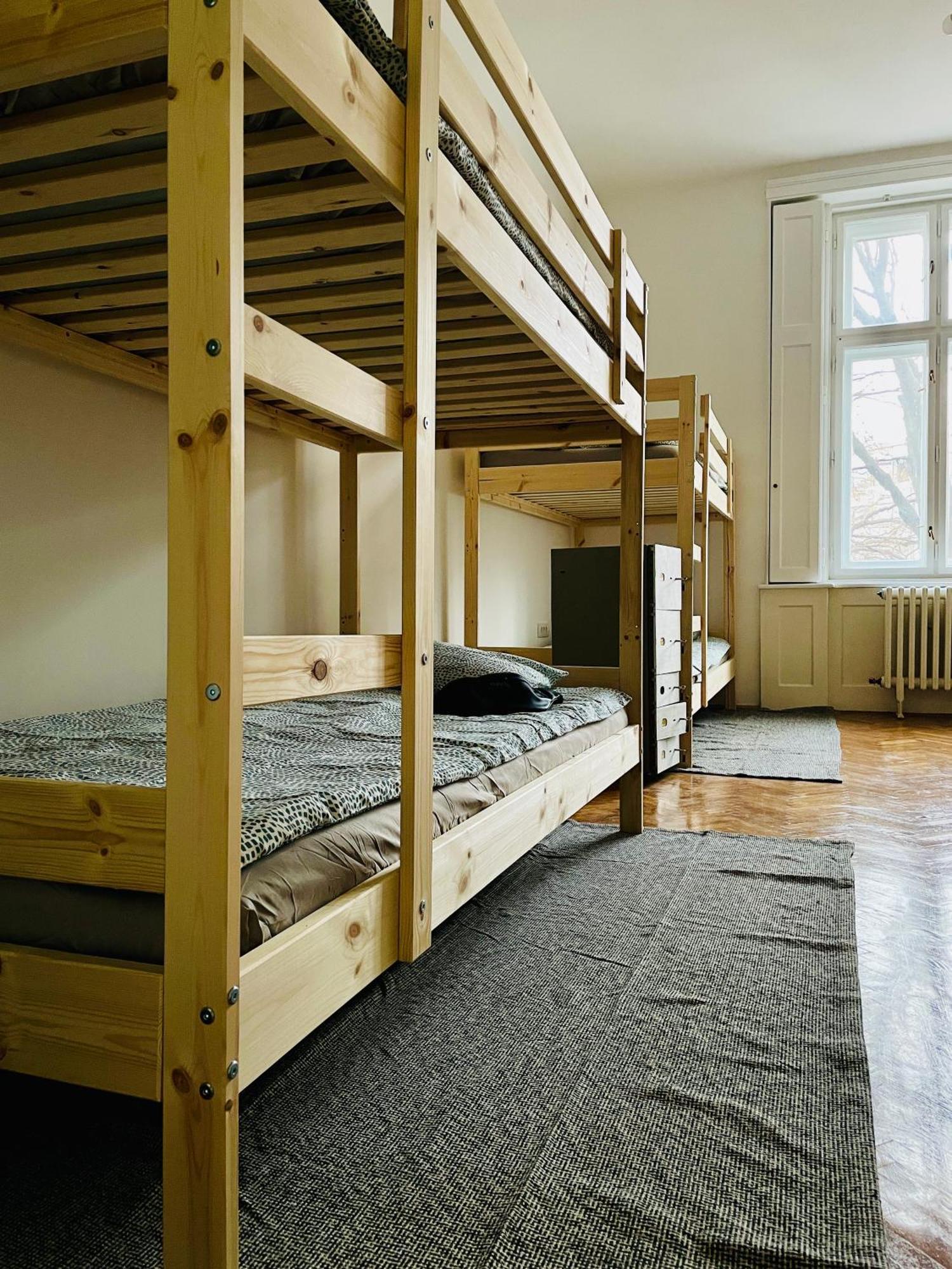 Hostel Green World Novi Sad Dış mekan fotoğraf