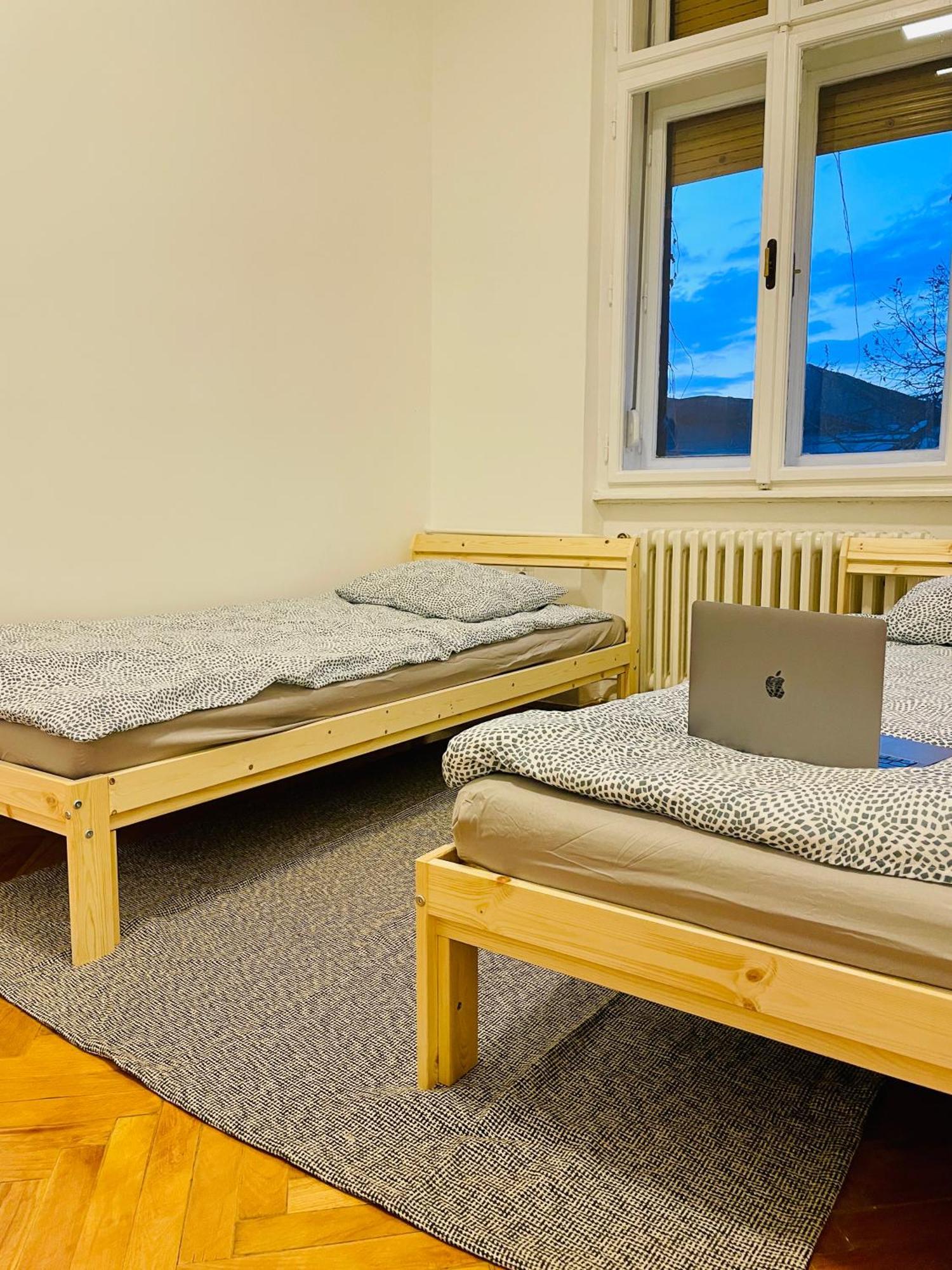 Hostel Green World Novi Sad Dış mekan fotoğraf
